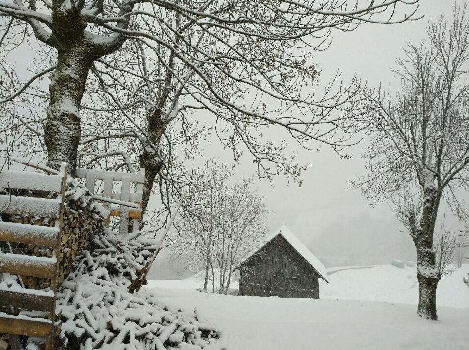 Chalet Lucie Le Cheval Noir Valmorel Bagian luar foto